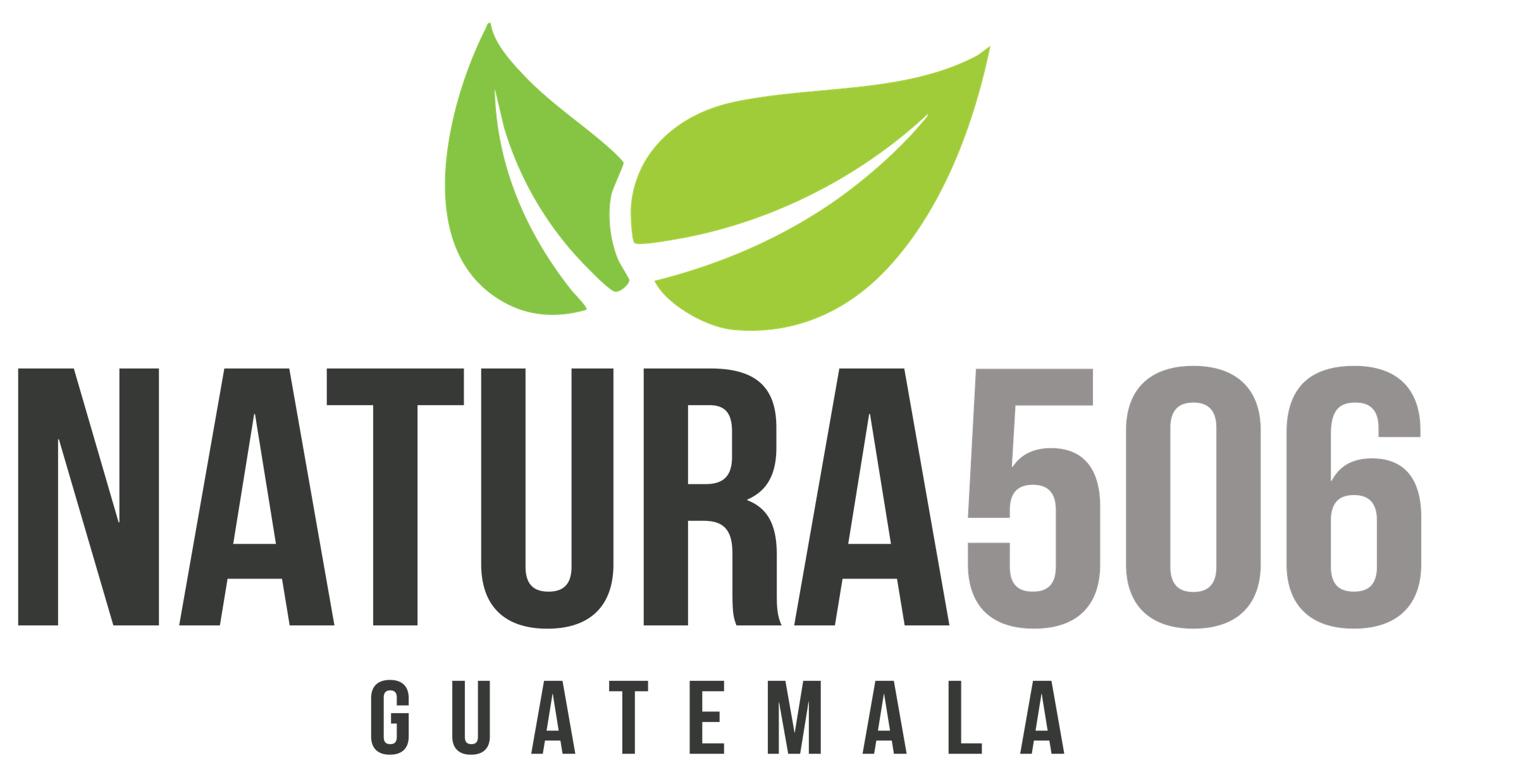 Logo de Natura 506 Guatemala